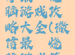 微信小程序最囧烧脑游戏攻略大全(微信最囧烧脑游戏答案大全)