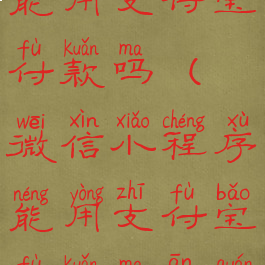 微信小程序能用支付宝付款吗(微信小程序能用支付宝付款吗安全吗)