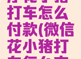 微信小程序花小猪打车怎么付款(微信花小猪打车怎么支付)