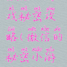 微信小游戏秘密攻略(微信的秘密小游戏)