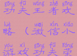 微信小游戏功夫王者攻略(微信小游戏功夫荣耀攻略)