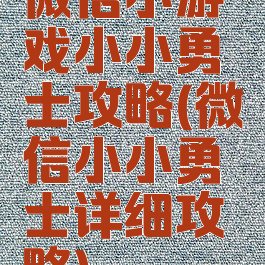 微信小游戏小小勇士攻略(微信小小勇士详细攻略)