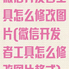 微信开发者工具怎么修改图片(微信开发者工具怎么修改图片格式)