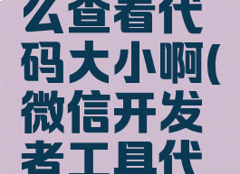 微信开发者工具怎么查看代码大小啊(微信开发者工具代码规范化快捷键)