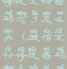 微信怎么修改支付密码忘了怎么办(微信支付修改密码忘记原密码怎么办)