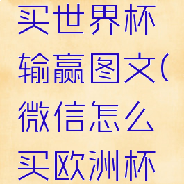 微信怎么买世界杯输赢图文(微信怎么买欧洲杯球赛)