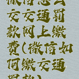 微信怎么交交通罚款网上缴费(微信如何缴交通罚款)