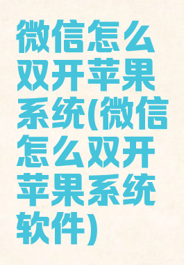 微信怎么双开苹果系统(微信怎么双开苹果系统软件)