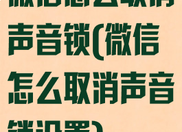微信怎么取消声音锁(微信怎么取消声音锁设置)