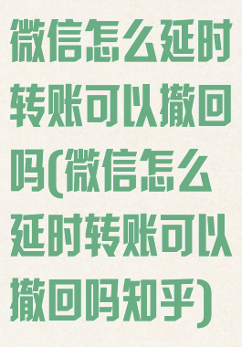 微信怎么延时转账可以撤回吗(微信怎么延时转账可以撤回吗知乎)