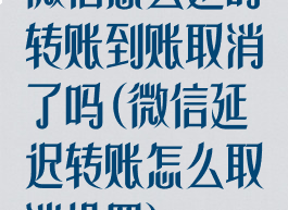 微信怎么延时转账到账取消了吗(微信延迟转账怎么取消设置)