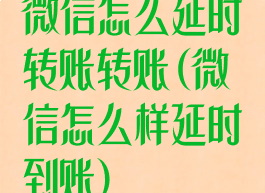 微信怎么延时转账转账(微信怎么样延时到账)