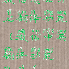 微信怎么开启翻译功能(微信中英翻译功能在哪里)