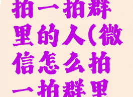 微信怎么拍一拍群里的人(微信怎么拍一拍群里的人呢)