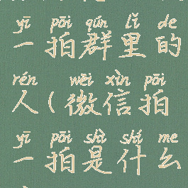 微信怎么拍一拍群里的人(微信拍一拍是什么意思)