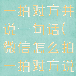 微信怎么拍一拍对方并说一句话(微信怎么拍一拍对方说的话)