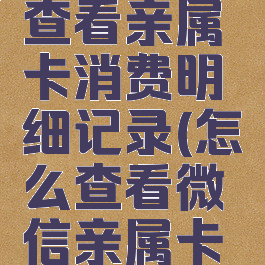 微信怎么查看亲属卡消费明细记录(怎么查看微信亲属卡消费账单)