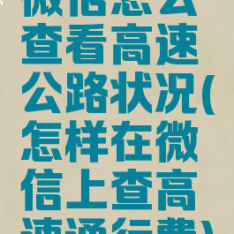 微信怎么查看高速公路状况(怎样在微信上查高速通行费)