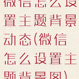 微信怎么设置主题背景动态(微信怎么设置主题背景图)