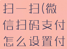 微信怎么设置支付顺序扫一扫(微信扫码支付怎么设置付款方式先后顺序)