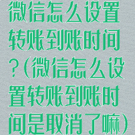 微信怎么设置转账到账时间?(微信怎么设置转账到账时间是取消了嘛)