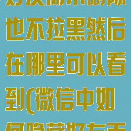 微信怎么隐藏好友而不删除也不拉黑然后在哪里可以看到(微信中如何隐藏好友而不删除)