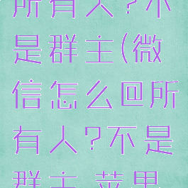 微信怎么@所有人?不是群主(微信怎么@所有人?不是群主,苹果手机)
