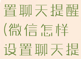 微信怎样设置聊天提醒(微信怎样设置聊天提醒时间)