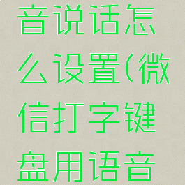 微信打字键盘用语音说话怎么设置(微信打字键盘用语音说话怎么设置出来)