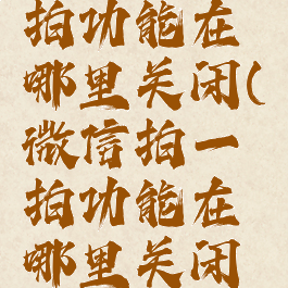 微信拍一拍功能在哪里关闭(微信拍一拍功能在哪里关闭安卓)