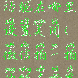 微信拍一拍功能在哪里设置关闭(微信拍一拍功能在哪里关掉)