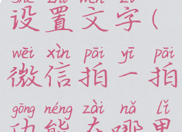 微信拍一拍功能在哪里设置文字(微信拍一拍功能在哪里设置文字模式)