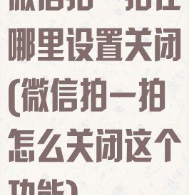 微信拍一拍在哪里设置关闭(微信拍一拍怎么关闭这个功能)