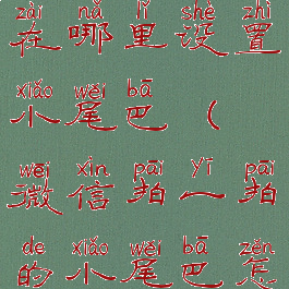 微信拍一拍在哪里设置小尾巴(微信拍一拍的小尾巴怎么设置)