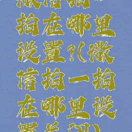 微信拍一拍在哪里设置?(微信拍一拍在哪里设置关闭)