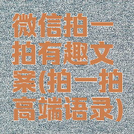 微信拍一拍有趣文案(拍一拍高端语录)