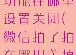 微信拍了拍功能在哪里设置关闭(微信拍了拍在哪里关掉)