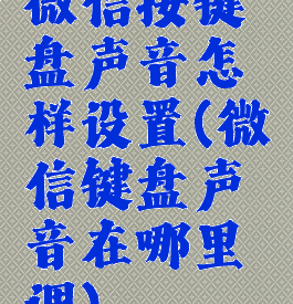微信按键盘声音怎样设置(微信键盘声音在哪里调)