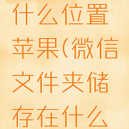 微信文件夹储存在什么位置苹果(微信文件夹储存在什么位置iphone)