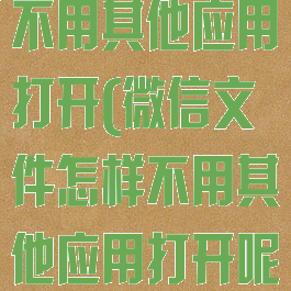 微信文件怎样不用其他应用打开(微信文件怎样不用其他应用打开呢)