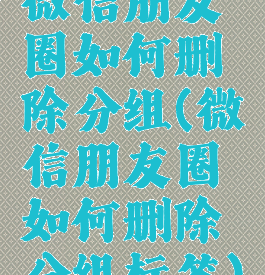 微信朋友圈如何删除分组(微信朋友圈如何删除分组标签)