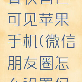 微信朋友圈怎么设置仅自己可见苹果手机(微信朋友圈怎么设置仅自己可见苹果手机)