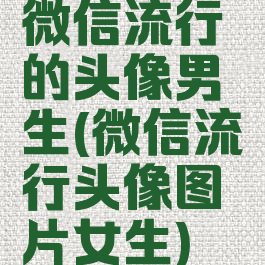 微信流行的头像男生(微信流行头像图片女生)