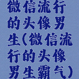 微信流行的头像男生(微信流行的头像男生霸气)