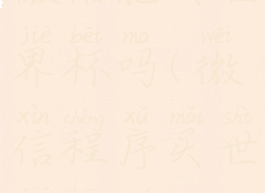 微信能买世界杯吗(微信程序买世界杯球)