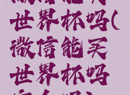 微信能买世界杯吗(微信能买世界杯吗安全吗)