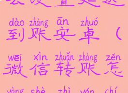微信转账怎么设置延迟到账安卓(微信转账怎样设置延迟到账时间)