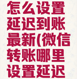 微信转账怎么设置延迟到账最新(微信转账哪里设置延迟到账)