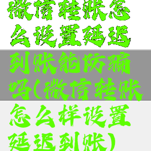 微信转账怎么设置延迟到账能防骗吗(微信转账怎么样设置延迟到账)