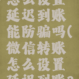 微信转账怎么设置延迟到账能防骗吗(微信转账怎么设置延迟到账?)